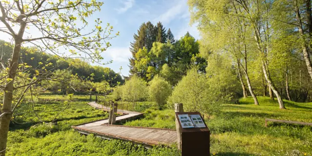 Passerelle à la zone humide du Roc De France à Latronquière